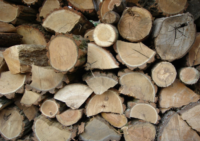 How to Select the Right Firewood
