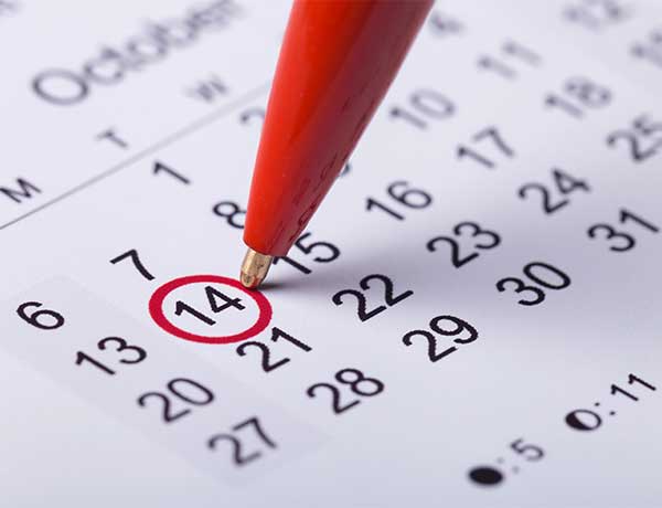 Chimney Care Appointment Tips